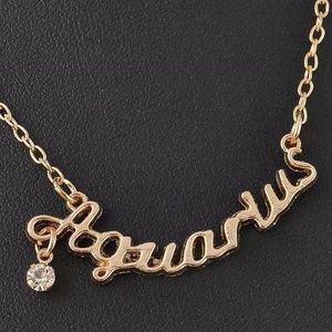 Aquarius zodiac necklace